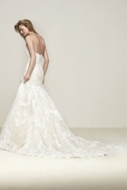 Modello DRUIDA-C 