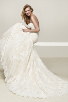 Modello DRUIDA-D 